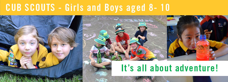 Palm Beach Cub Scouts
