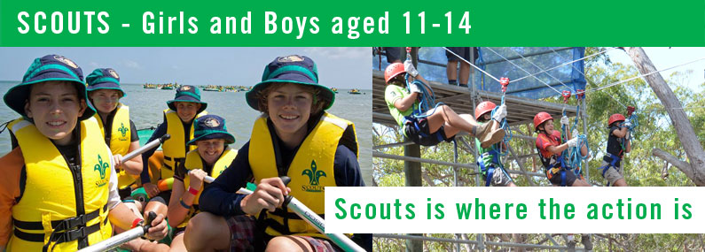 Palm Beach Scouts